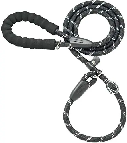 Best Slip Leash For Dogs - 2026 Reviews