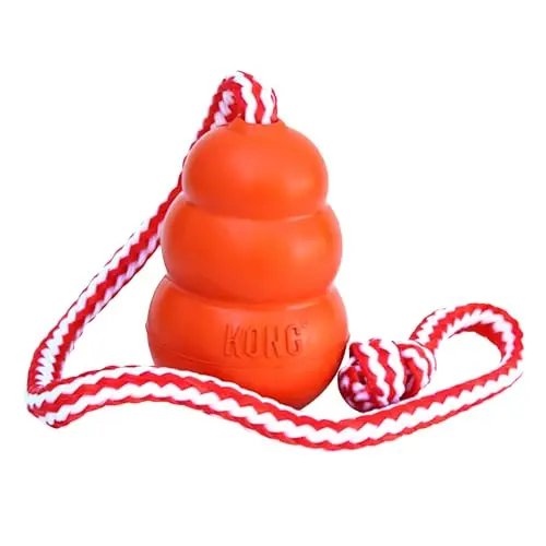 KONG Aqua orange floating fetch toy with rope for dogs