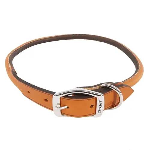 Coastal Pet Tan Round Leather Dog Collar on a wooden surface