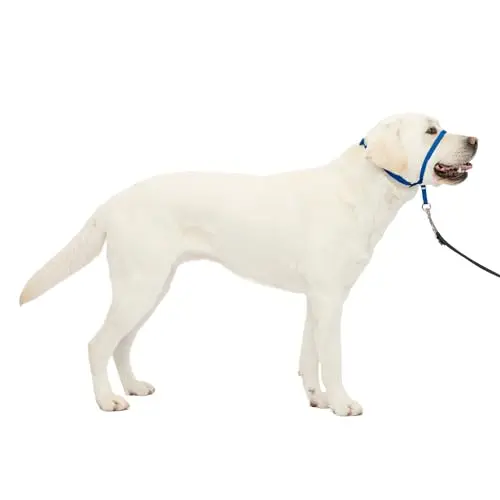 PetSafe Gentle Leader Headcollar for dog training