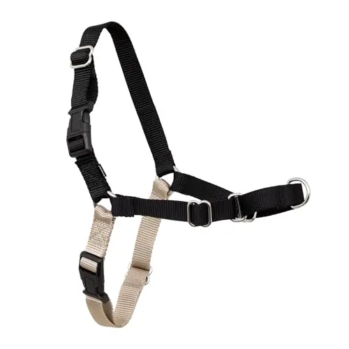 PetSafe Easy Walk dog harness in black and silver, showing the martingale front loop.