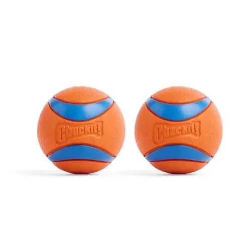 Chuckit! Ultra Ball, a bright orange rubber ball for playing fetch with dogs
