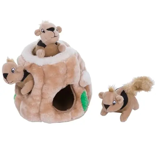 Outward Hound Hide-A-Squirrel interactive dog toy with plush trunk and squeaky squirrels