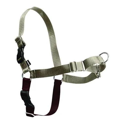 PetSafe Easy Walk Harness in fawn and brown color on a dog