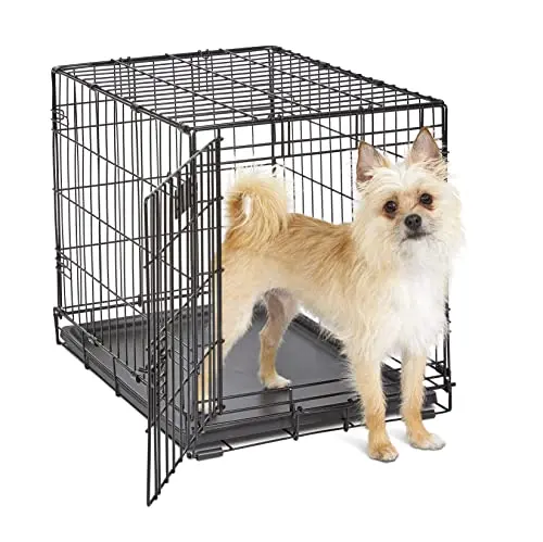 Black metal dog crate with a divider panel and leak-proof tray for small dogs