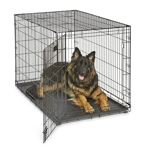 MidWest 48-inch iCrate for extra-large dogs with divider panel