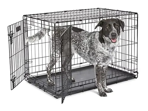 MidWest Homes for Pets 36-inch double door folding dog crate with divider panel