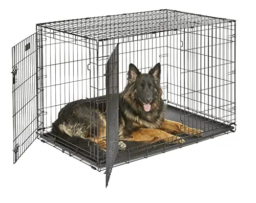 MidWest Homes for Pets black double door folding metal dog crate with divider