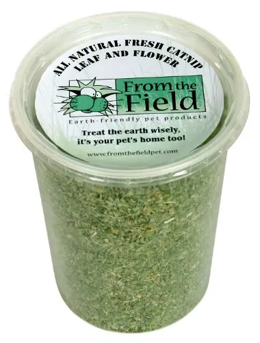 From The Field Organic Catnip in a resealable tub