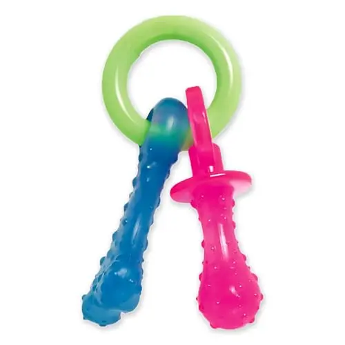 Nylabone small puppy pacifier chew toy in bacon flavor