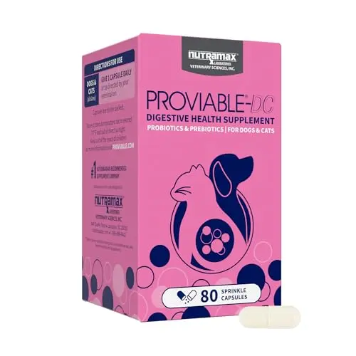 Nutramax Proviable probiotic capsules for dogs and cats