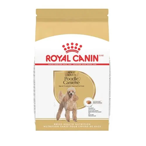 Royal Canin Poodle Adult breed health nutrition dry dog food bag