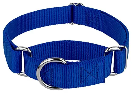 Country Brook Design martingale dog collar in royal blue