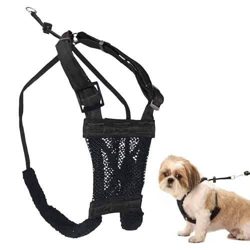 SPORN no pull dog harness in black for small dogs with padded design