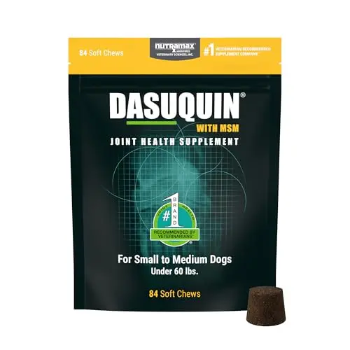 Nutramax Dasuquin soft chews for small to medium dog joint health