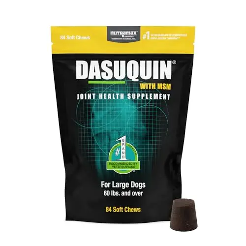 Nutramax Dasuquin soft chews for dog joint health