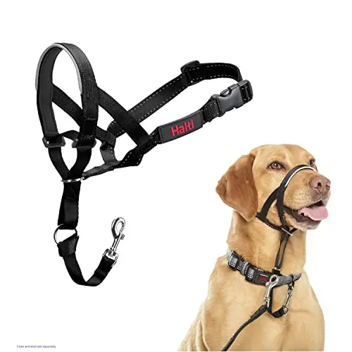 Halti Headcollar with reflective accents