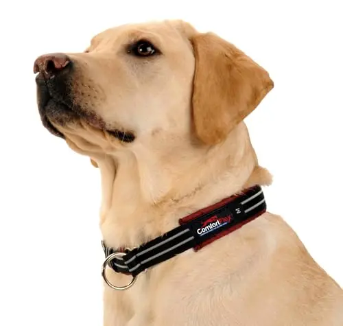 ComfortFlex Premium Padded Martingale Dog Collar in bordeaux color