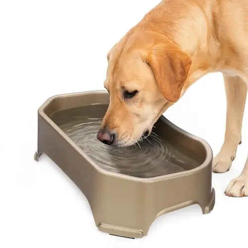 Neater Pet Brands extra large champagne colored plastic dog water bowl