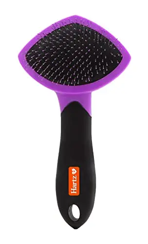Hartz small slicker brush in black and violet with ergonomic handle