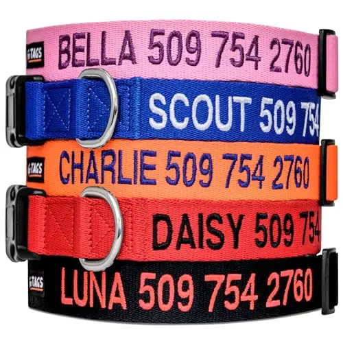 GoTags personalized nylon dog collar with embroidered name and phone number