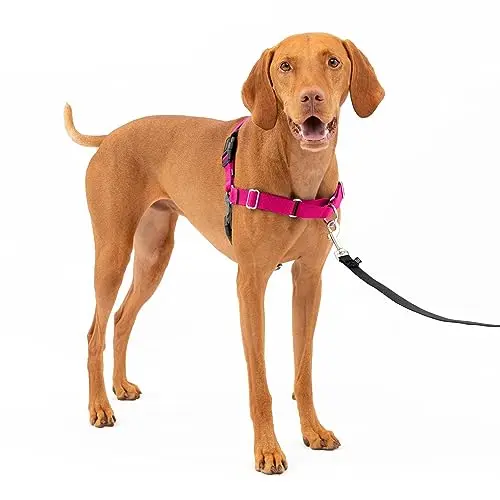 PetSafe Easy Walk no-pull dog harness in raspberry and gray