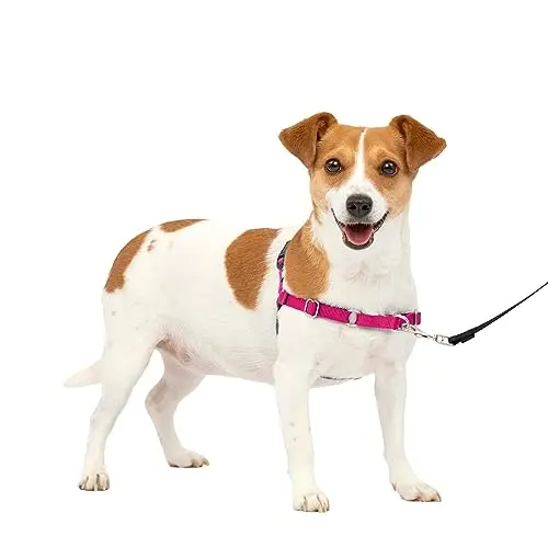 PetSafe Easy Walk no-pull dog harness in raspberry and gray