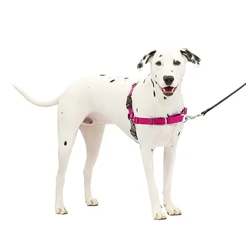 PetSafe Easy Walk dog harness in raspberry and gray with martingale loop