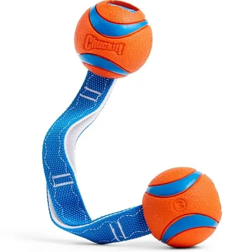 Chuckit! Ultra Duo Tug toy with two blue and orange balls connected by a nylon strap