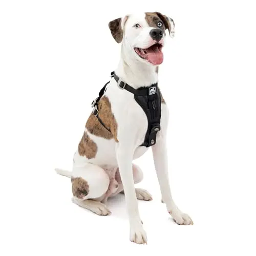 Kurgo dog car harness with metal buckles and padded chest plate