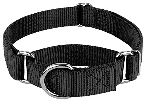 Country Brook Design Martingale Dog Collar in black