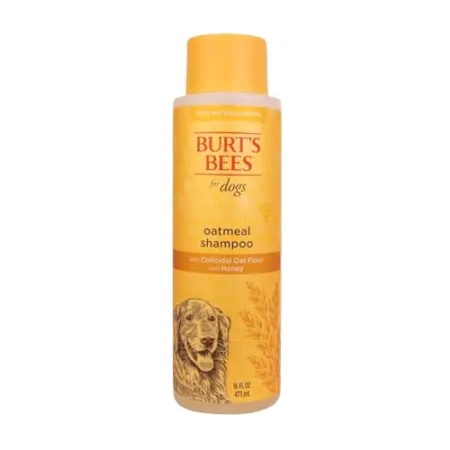 Burts Bees for Pets Oatmeal Dog Shampoo with Honey for itchy skin