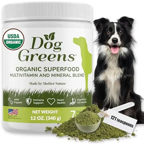 Dog Greens Superfood multivitamin powder in a large jar