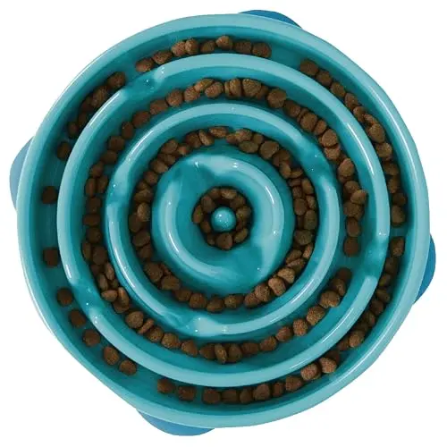 Outward Hound large turquoise slow feeder bowl with intricate maze pattern