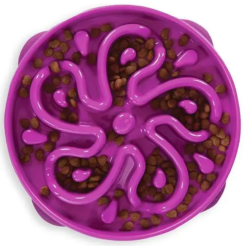 Outward Hound Fun Feeder slow feeder bowl with flower maze pattern