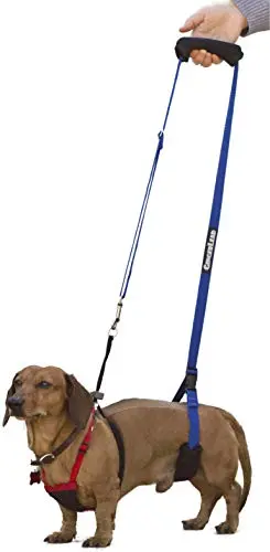 GINGERLEAD dog support sling harness in blue/black for small pets