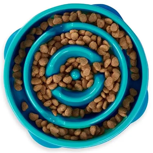 Outward Hound Fun Feeder Slo Bowl in turquoise with a maze pattern