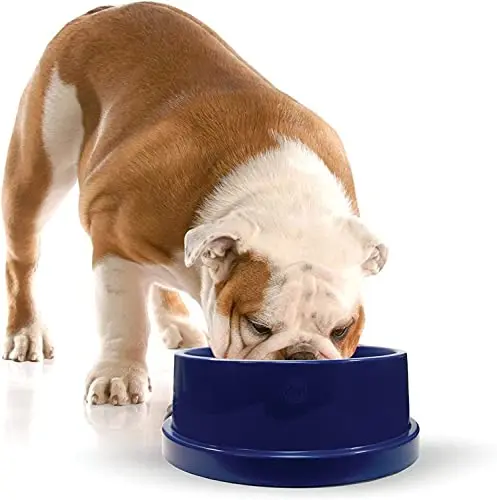 K&H Pet Products large 96-ounce cooling dog bowl in navy blue