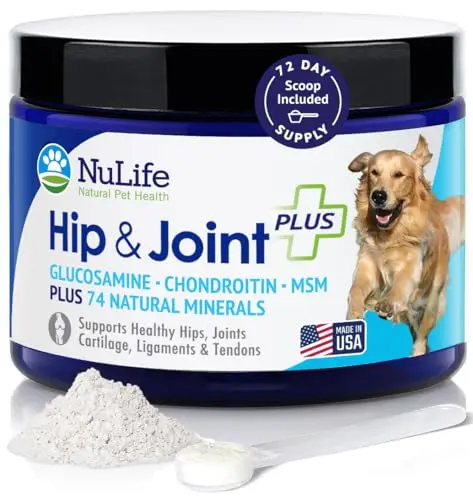 NuLife Glucosamine powder for dogs joint health