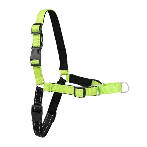 PetSafe Deluxe Easy Walk Harness with padded straps on a dog