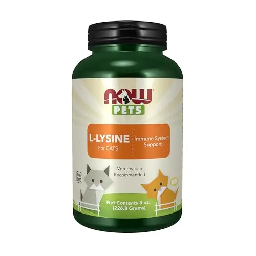 NOW Pets pure L-Lysine powder supplement in a bottle for cat immune health