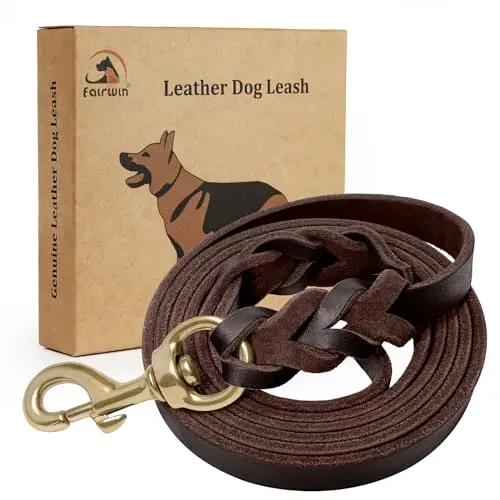 FAIRWIN brown braided leather dog leash with copper clasp