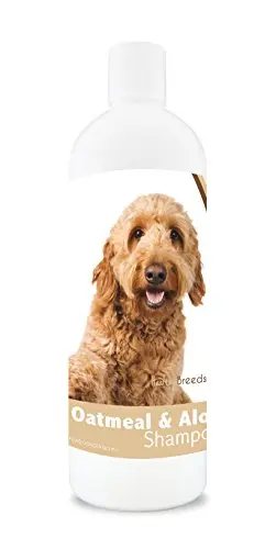 Healthy Breeds oatmeal and aloe dog shampoo for Goldendoodles with pina colada scent