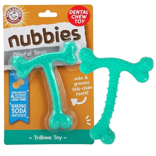 Arm & Hammer T-Bone dental dog chew toy with peanut butter flavor