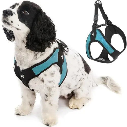 Gooby Escape Free Easy Fit turquoise step-in dog harness