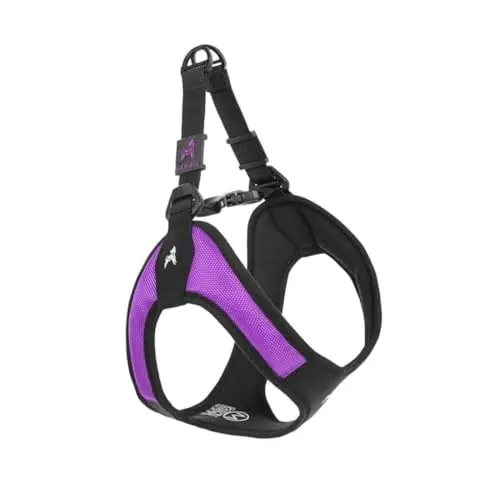 Gooby Escape Free Easy Fit Harness in purple, showing the step-in design and padded chest.