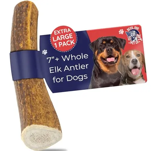 Devil Dog Pet Co Elk Antler for Dogs