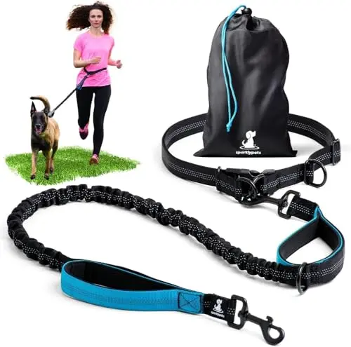 SparklyPets hands-free dog leash in blue with reflective stitching and two stainless steel clasps on the belt