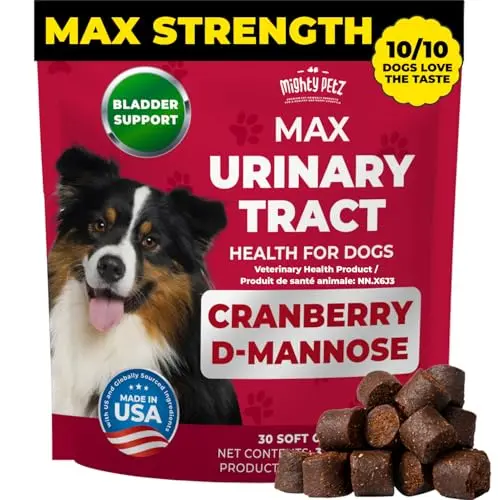 Mighty Petz MAX strength cranberry supplement soft chews for dog UTI treatment