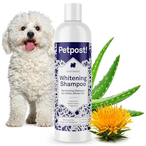 Petpost Dog Whitening Shampoo bottle with watermelon scent